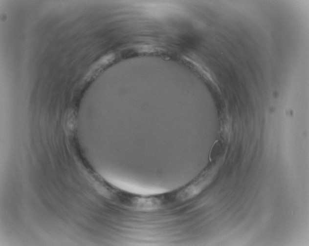 X0000087700277200706011752