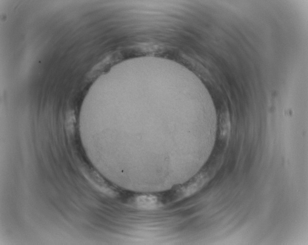 X0000087700279200706011752