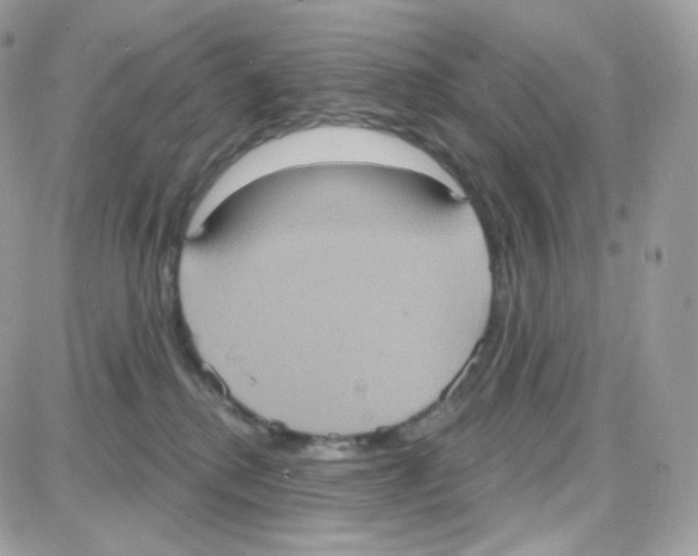 X0000087700280200706011752