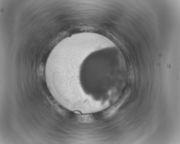 X0000087700281200706011752