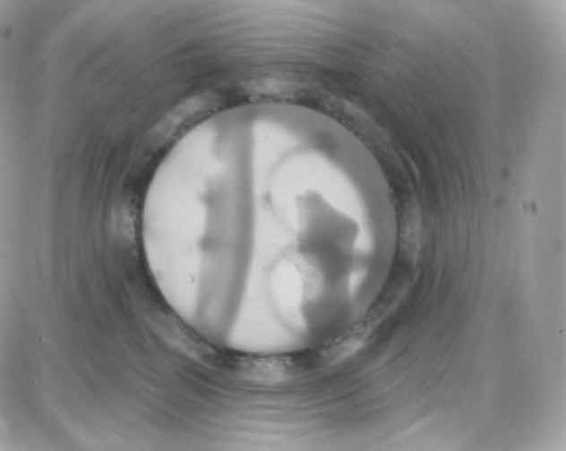 X0000087700282200706011752