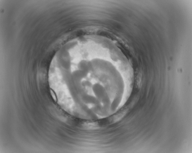 X0000087700283200706011752