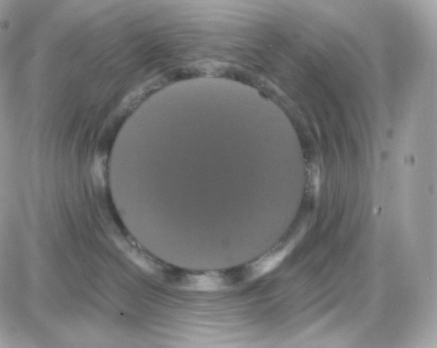 X0000087700286200706011752