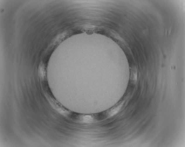 X0000087700287200706011752