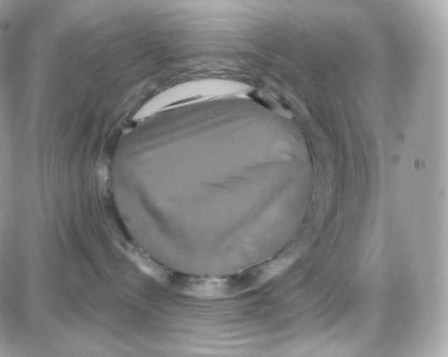 X0000087700288200706011752