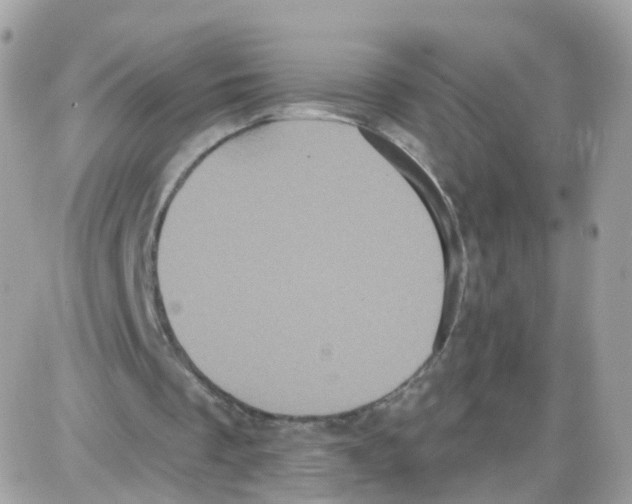 X0000087700289200706011752