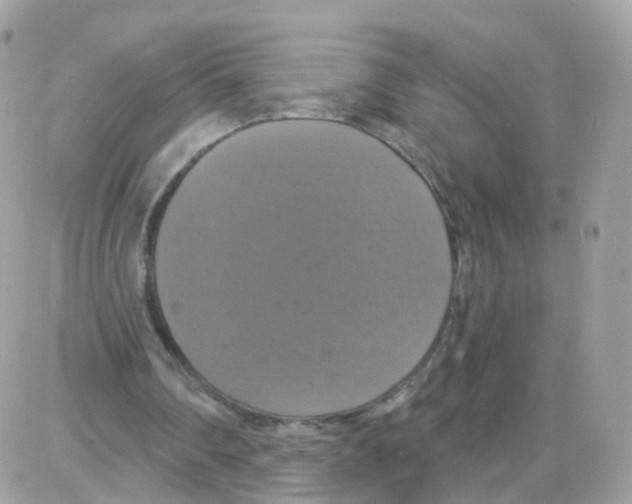 X0000087700290200706011752