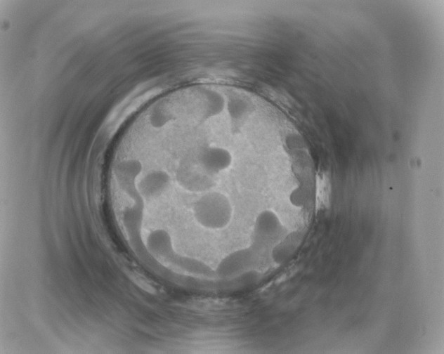 X0000087700291200706011752