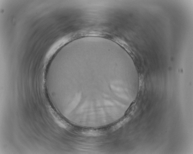 X0000087700293200706011751