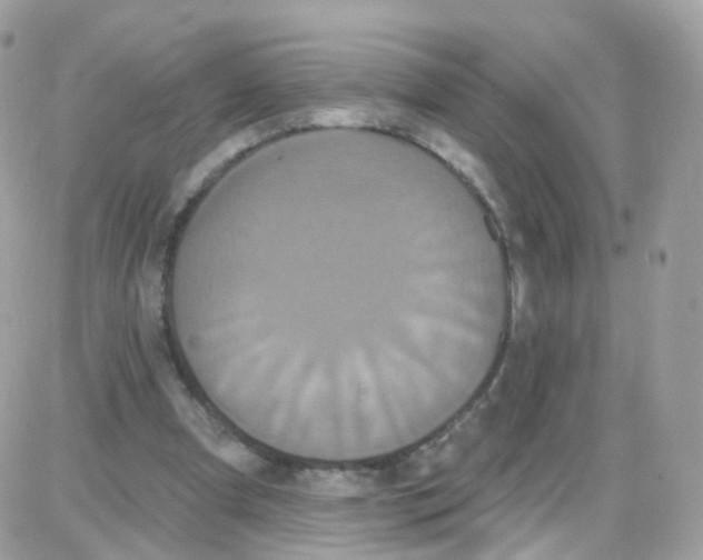 X0000087700297200706011751