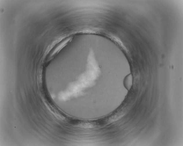 X0000087700299200706011751