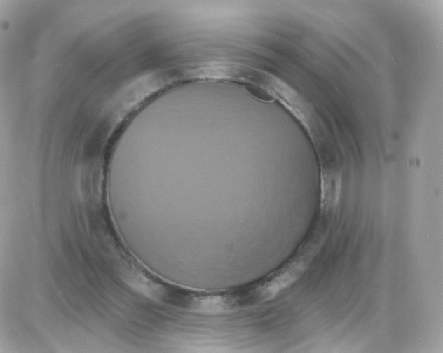 X0000087700301200706011751