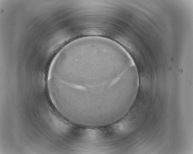 X0000087700302200706011751