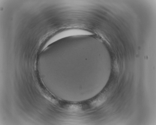 X0000087700303200706011751