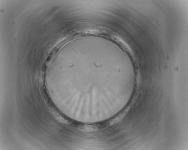 X0000087700305200706011751