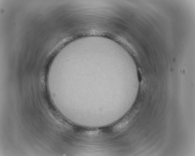 X0000087700306200706011751