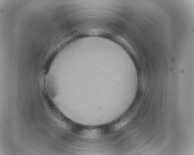 X0000087700307200706011751