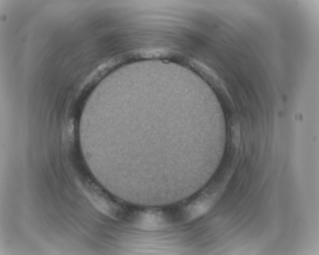 X0000087700308200706011751