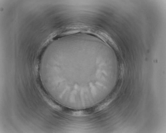 X0000087700309200706011751