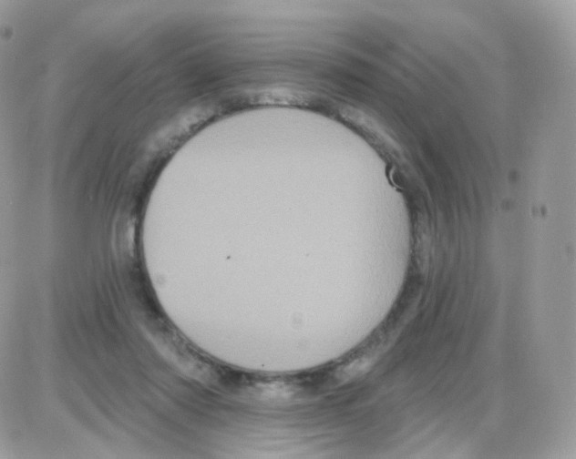 X0000087700310200706011751