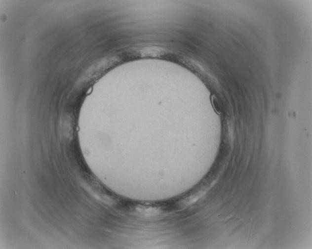 X0000087700311200706011751