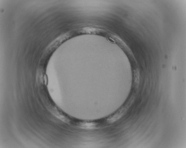 X0000087700313200706011751