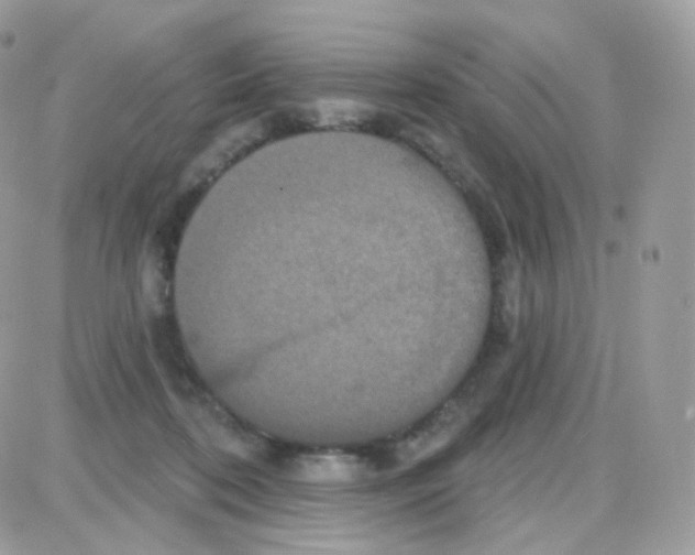 X0000087700316200706011751