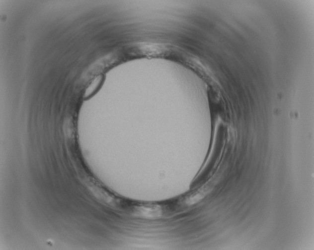 X0000087700317200706011751