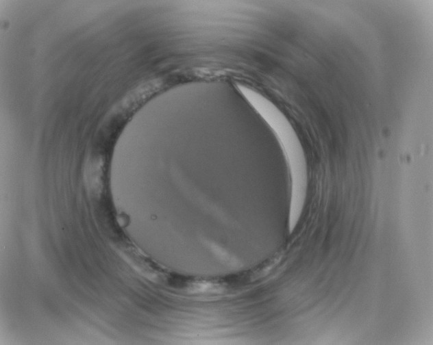 X0000087700319200706011751