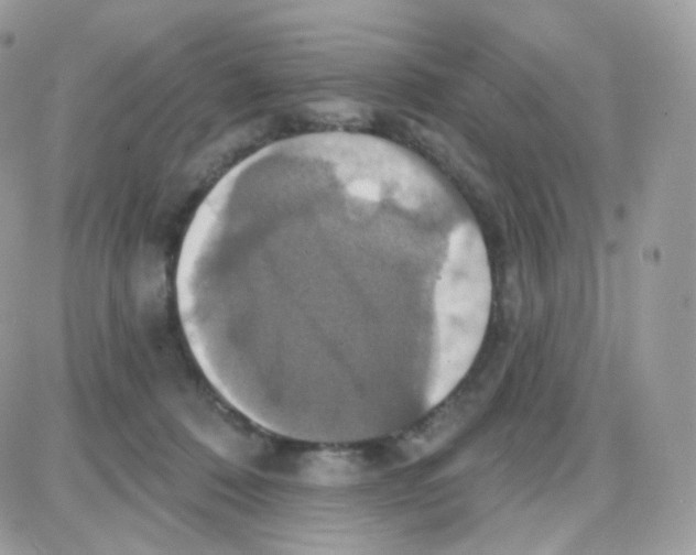 X0000087700320200706011751