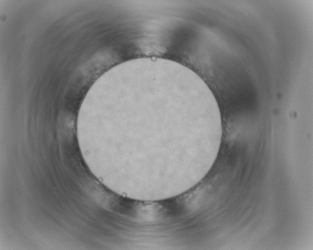 X0000087700321200706011751