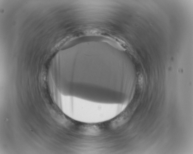 X0000087700322200706011751