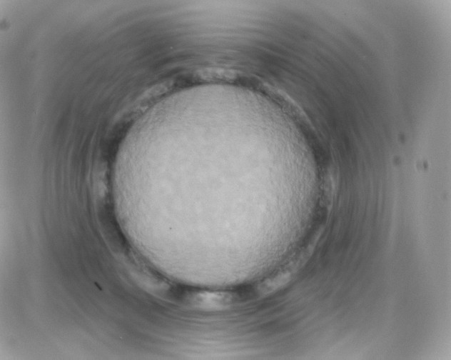 X0000087700323200706011751