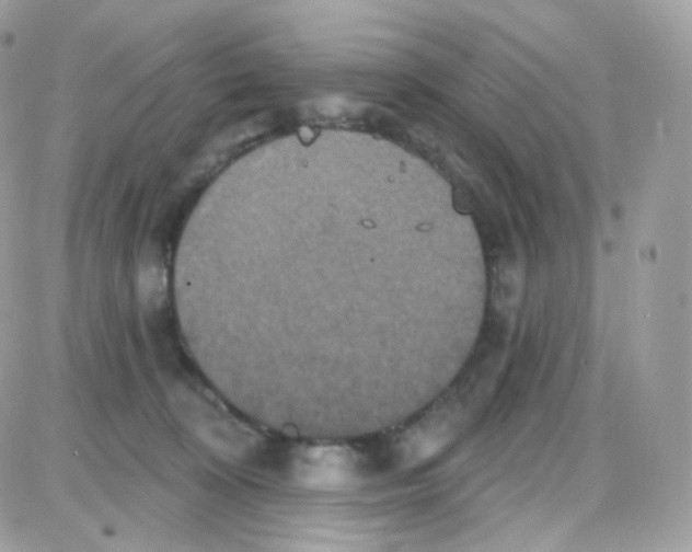 X0000087700324200706011751