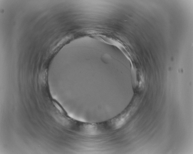 X0000087700325200706011751