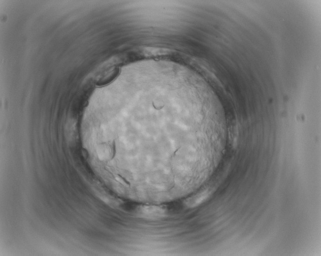 X0000087700327200706011751