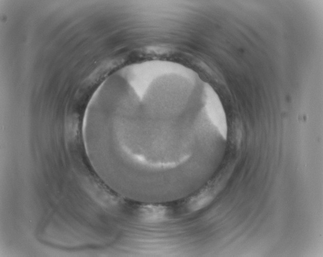 X0000087700328200706011751