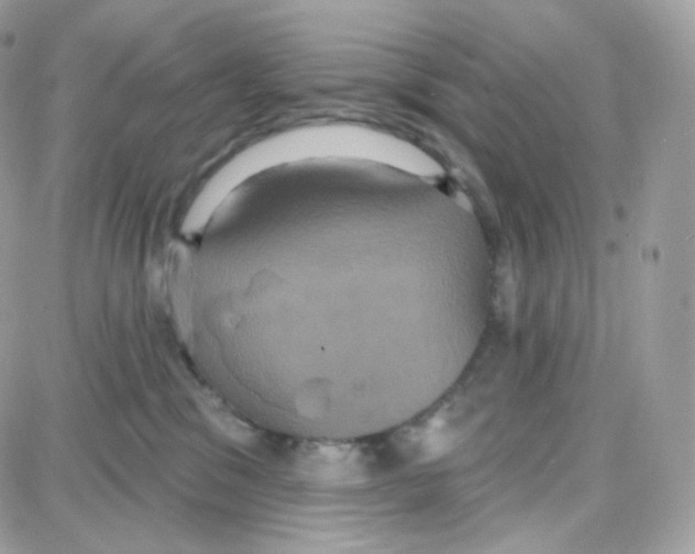 X0000087700329200706011751