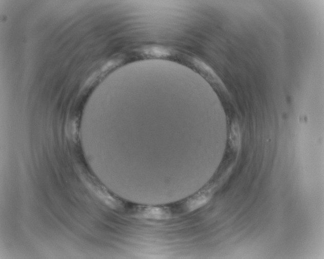 X0000087700330200706011751