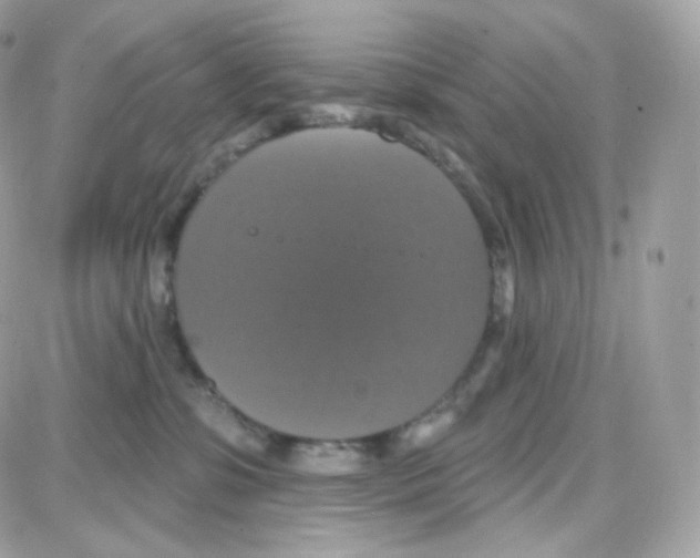 X0000087700331200706011751