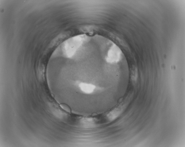 X0000087700332200706011751