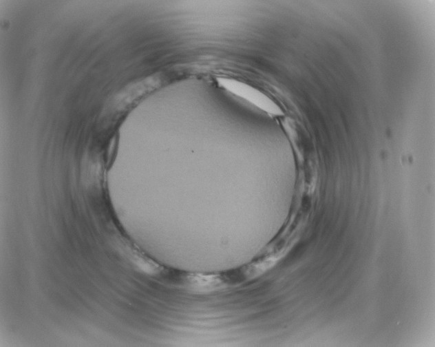 X0000087700333200706011751