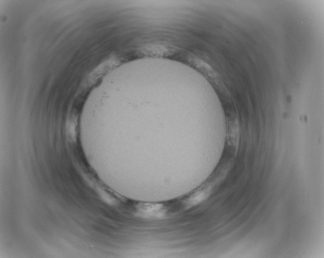 X0000087700334200706011751