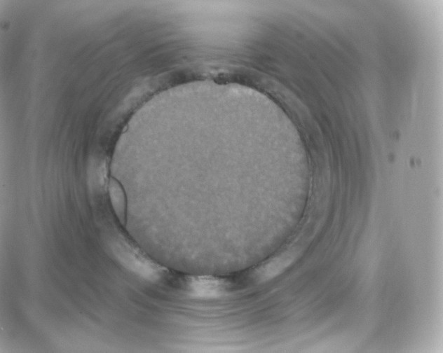 X0000087700336200706011751