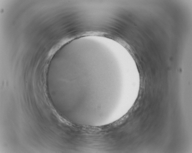 X0000087700337200706011750