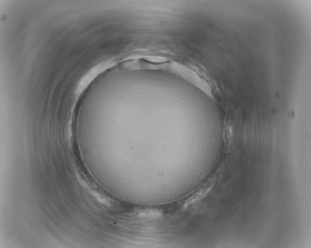 X0000087700340200706011750