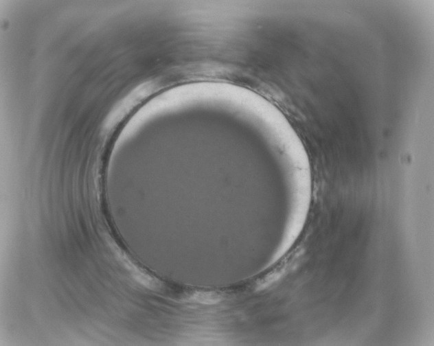 X0000087700341200706011750