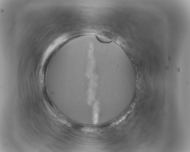 X0000087700343200706011750