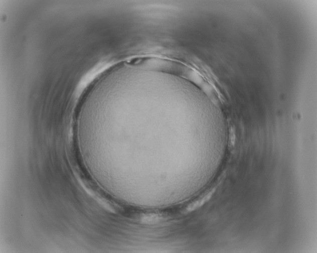 X0000087700344200706011750