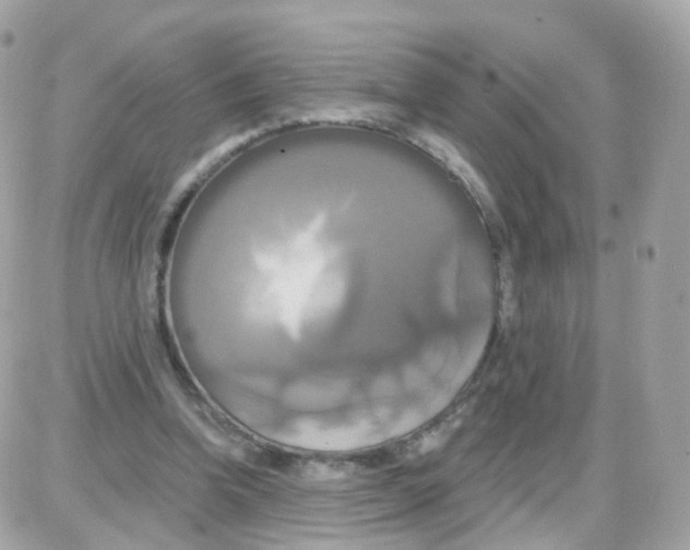 X0000087700346200706011750